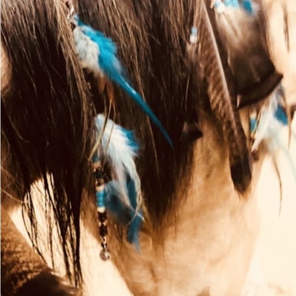 Meet your Posher, Abby - Picture 11 of 12